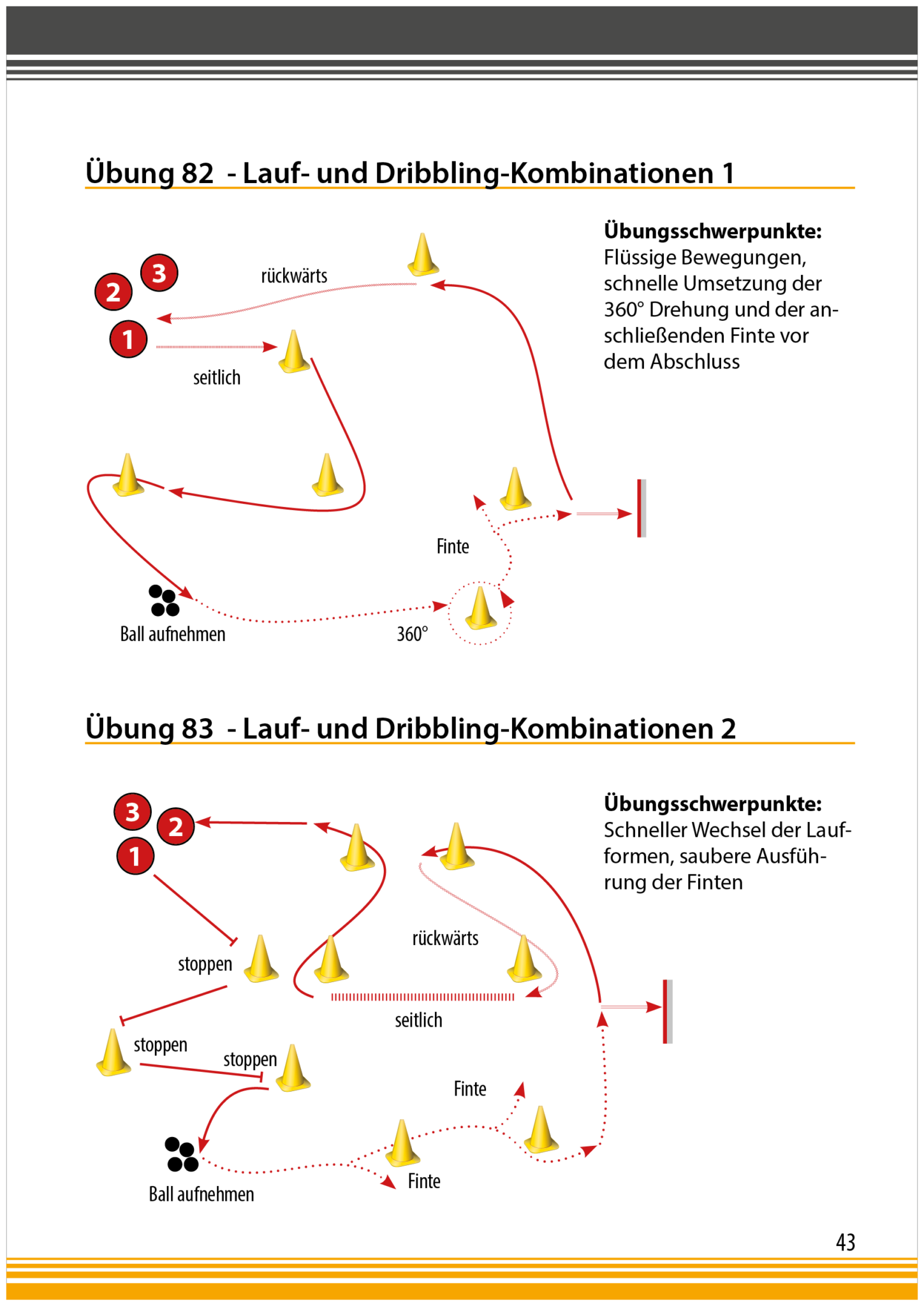 Floorball BASICS 1 Grundlagen und Übungen für Schule und Verein